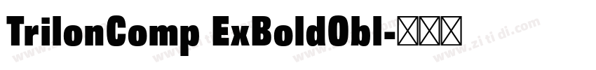 TrilonComp ExBoldObl字体转换 TrilonComp ExBoldObl字体转换